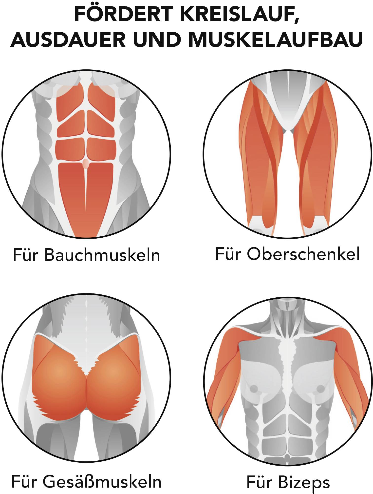 Maxxmee Rudergerät klappbar schwarz 05854 1 St.
