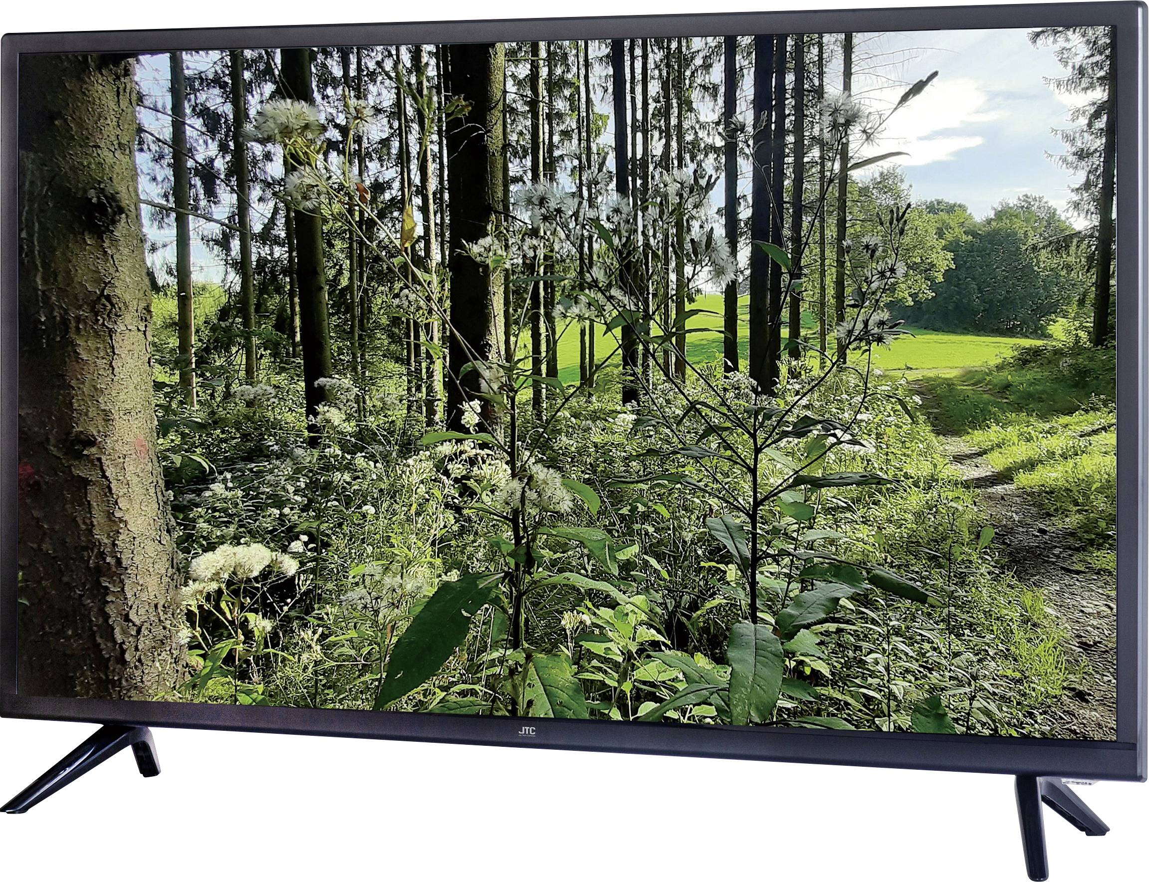 JTC D32H3170MLM LED-TV 80 cm 32 Zoll EEK F (A - G) DVB-T2, DVB-C, DVB-S, HD ready, DVD-Player, CI+ Schwarz