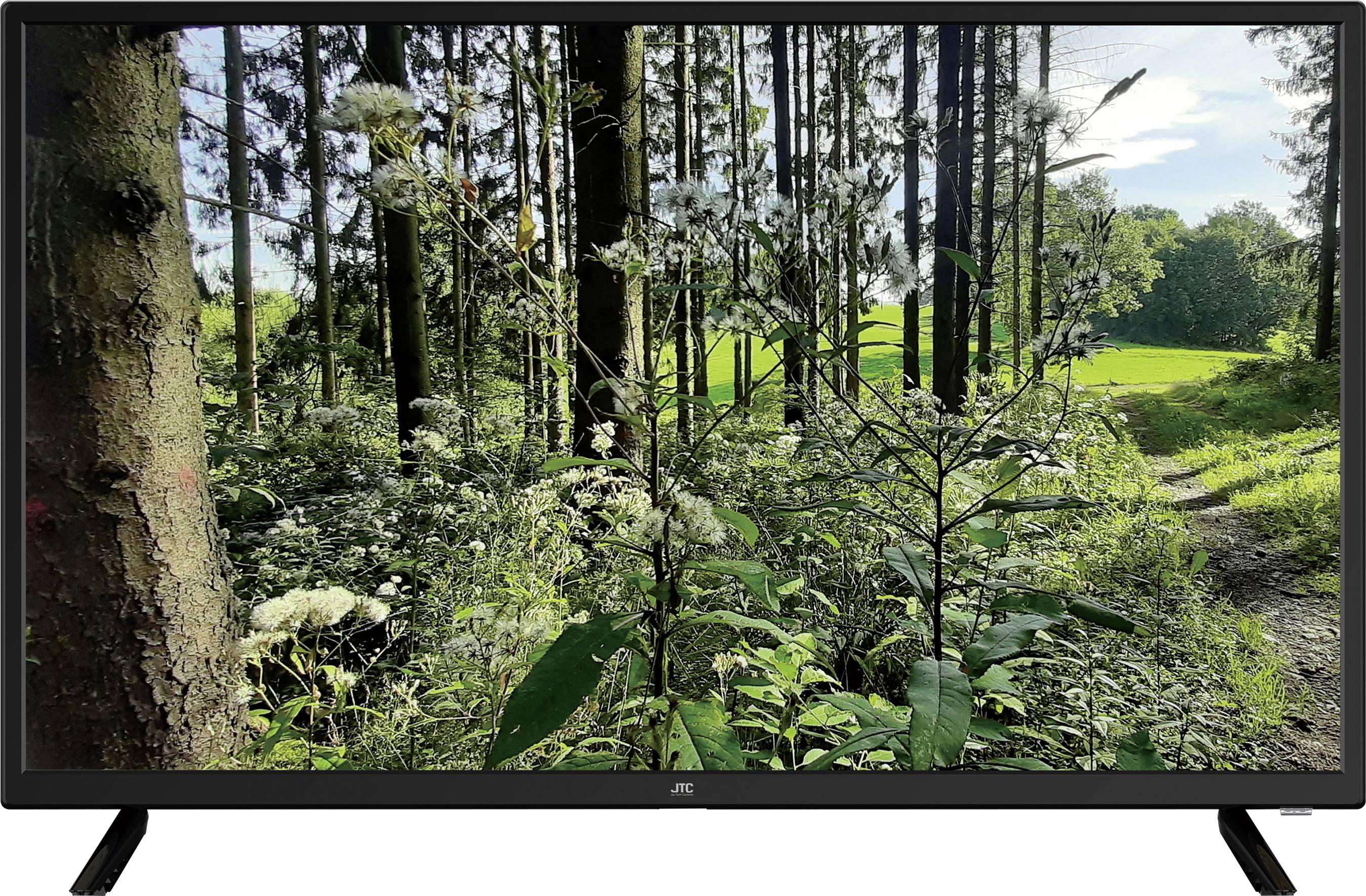 JTC D32H3170MLM LED-TV 80 cm 32 Zoll EEK F (A - G) DVB-T2, DVB-C, DVB-S, HD ready, DVD-Player, CI+ Schwarz