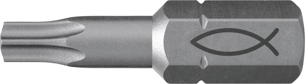 Fischer FPB T 10 PROFI Bit W 10 557845 Bit-Set 10teilig