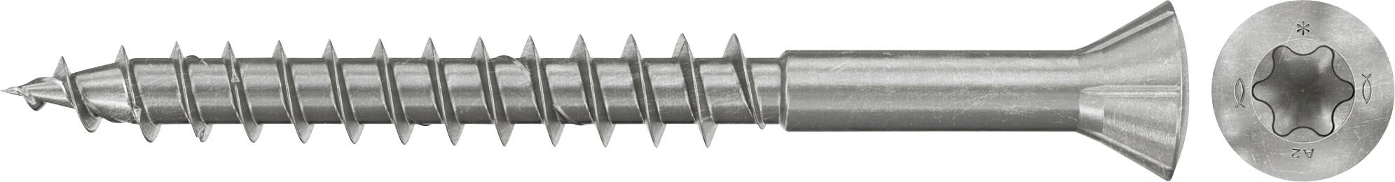 Schraube mit Torx-Kopf und Gewinde.