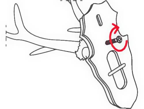 Darstellung eines Hirschkopfes mit einem Bolzen an der Seite. Ein roter Pfeil zeigt das Drehen des Bolzens im Uhrzeigersinn an.