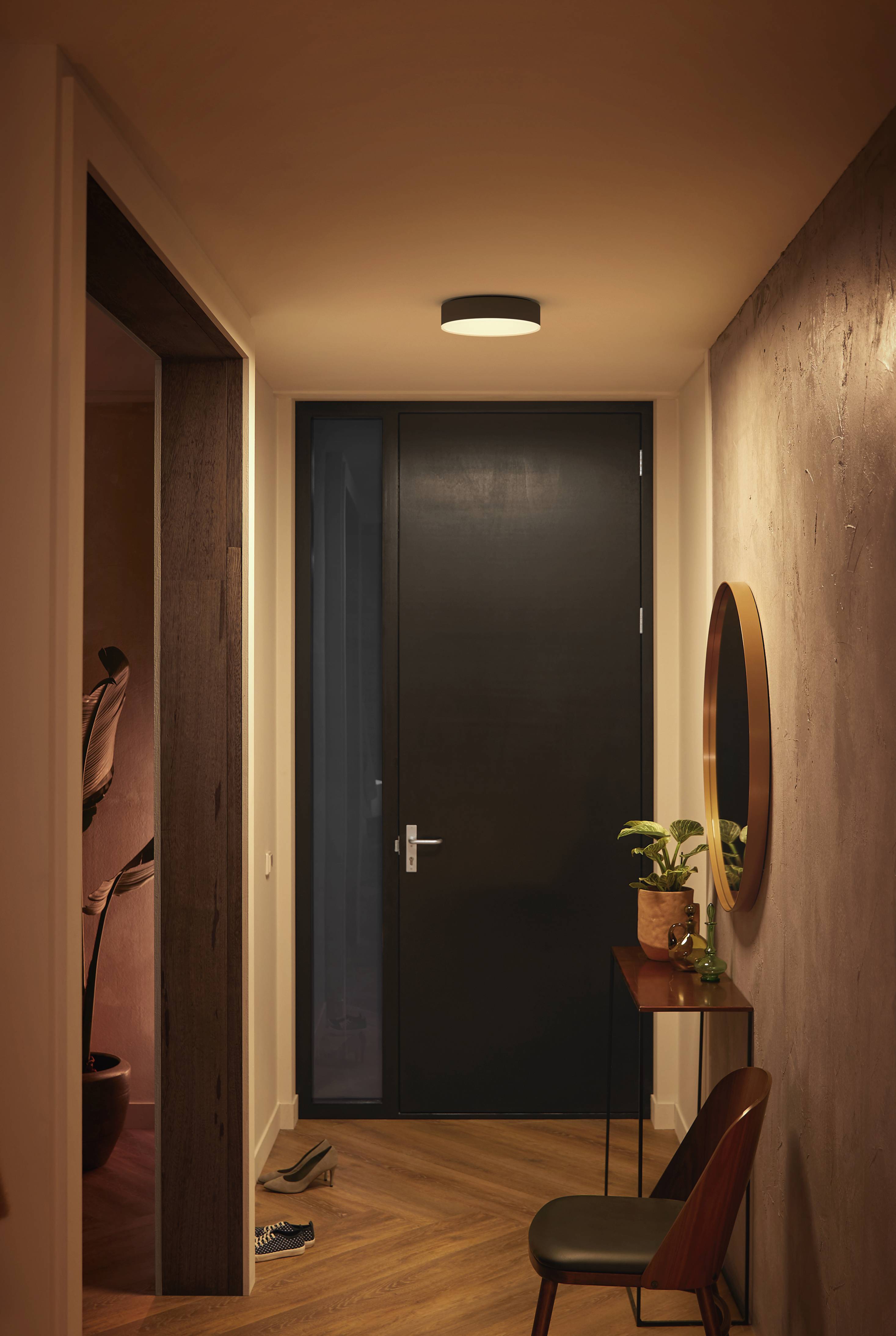 Ein schmaler Flur mit dunkler Tür am Ende, beleuchtet durch eine Deckenlampe. Rechts steht ein Tisch mit Pflanze und Spiegel darüber.