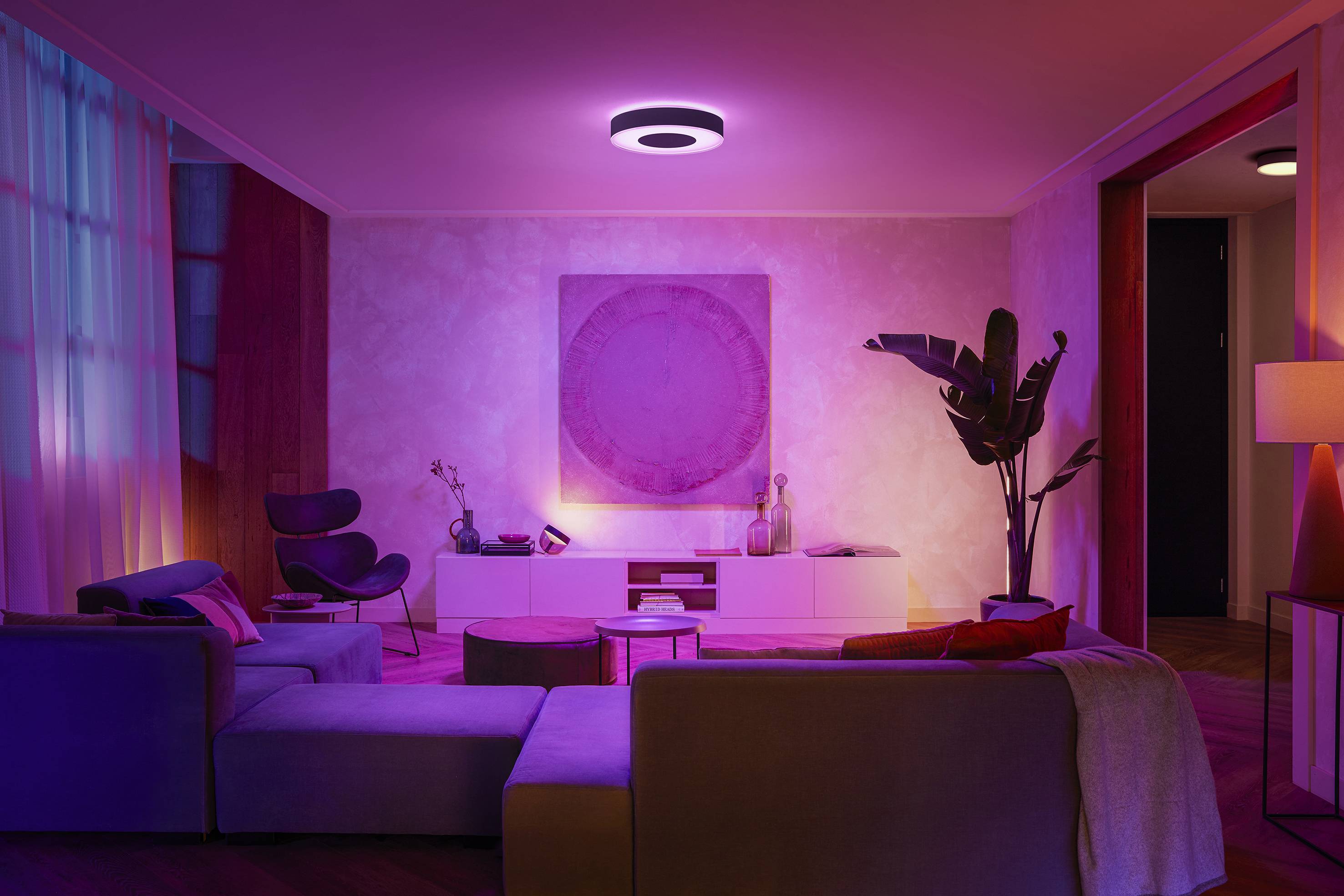 Ein gemütliches Wohnzimmer mit modernen Möbeln, Beleuchtung in violetten Tönen, einer Zimmerpflanze und dekorativen Elementen.