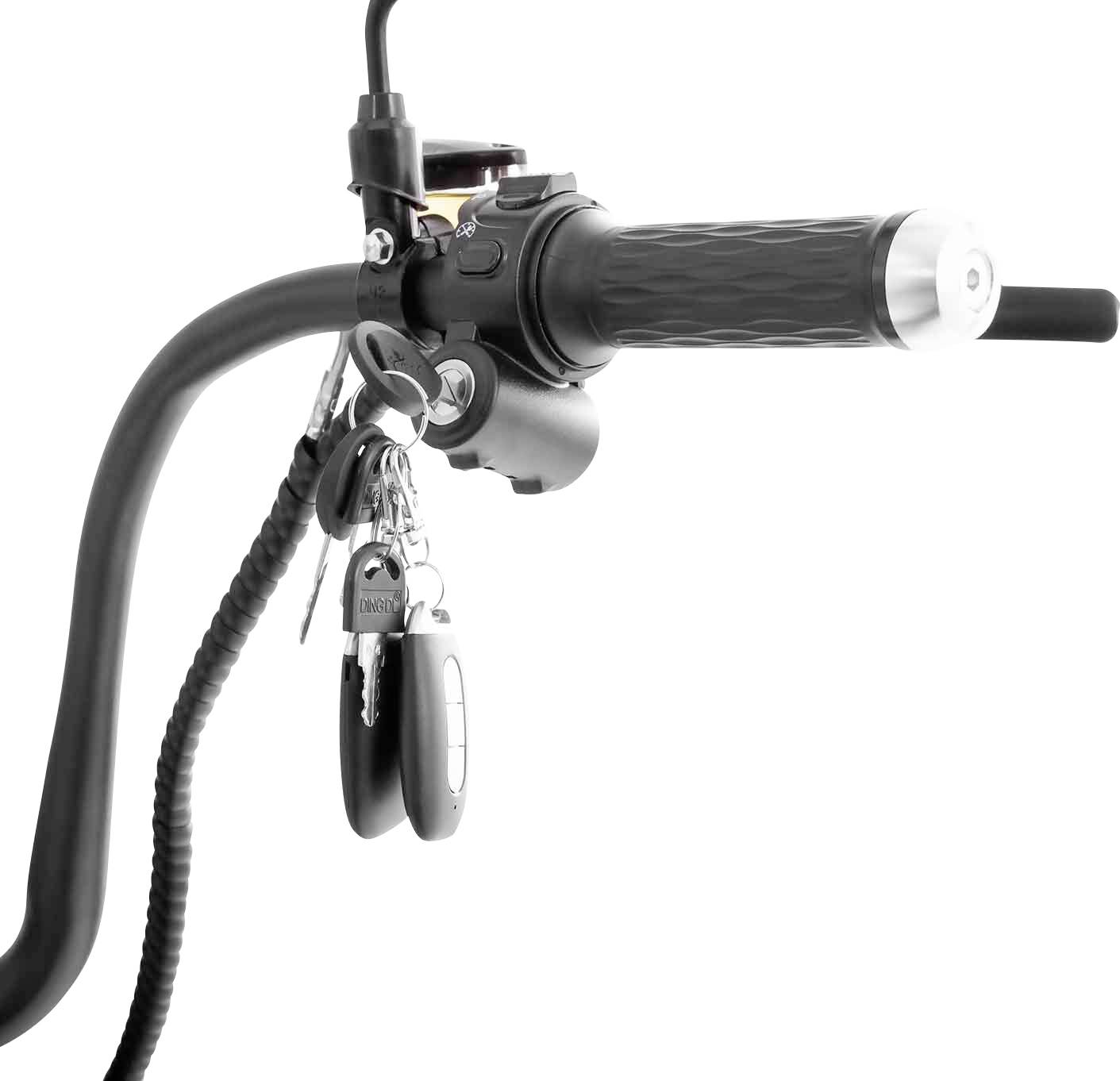 SXT Scooters GRIZZY E-Roller Rot Lithium 60V 20Ah mit herausnehmbaren Akku