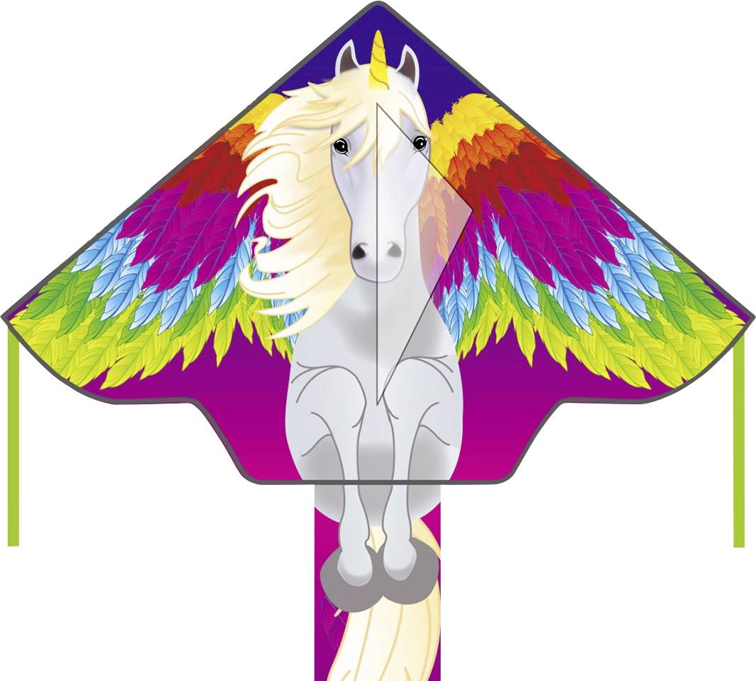 Ecoline Einleiner Drachen Simple Flyer Pegasus Spannweite (Details) 1200mm Windstärken-Eignung 2 - 5 bft