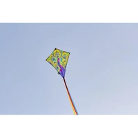 Ecoline Drachen Eddy Peacock Spannweite (Details) 580mm Windstärken-Eignung 2 - 5 bft Ecoline Drachen Eddy Peacock Spannweite (Details) 580mm Windstärken-Eignung 2 - 5 bft
