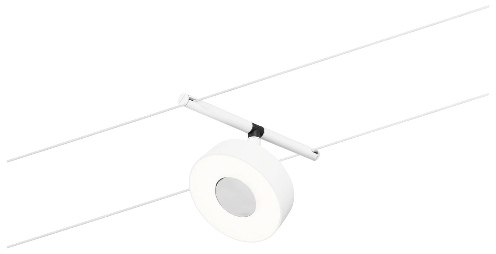 Paulmann WS DC Circle Niedervolt-Seilsystem-Leuchte Weiß (matt), Chrom