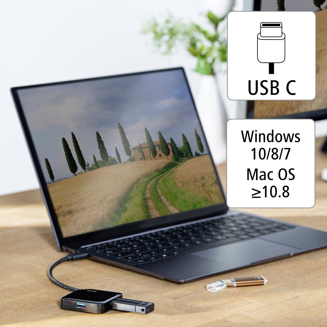 Ein Laptop auf einem Tisch, verbunden mit einem USB-C-Kabel. Auf dem Bildschirm ist ein Landschaftsbild zu sehen. Unterstützte Systeme: Windows 10/8/7, Mac OS.