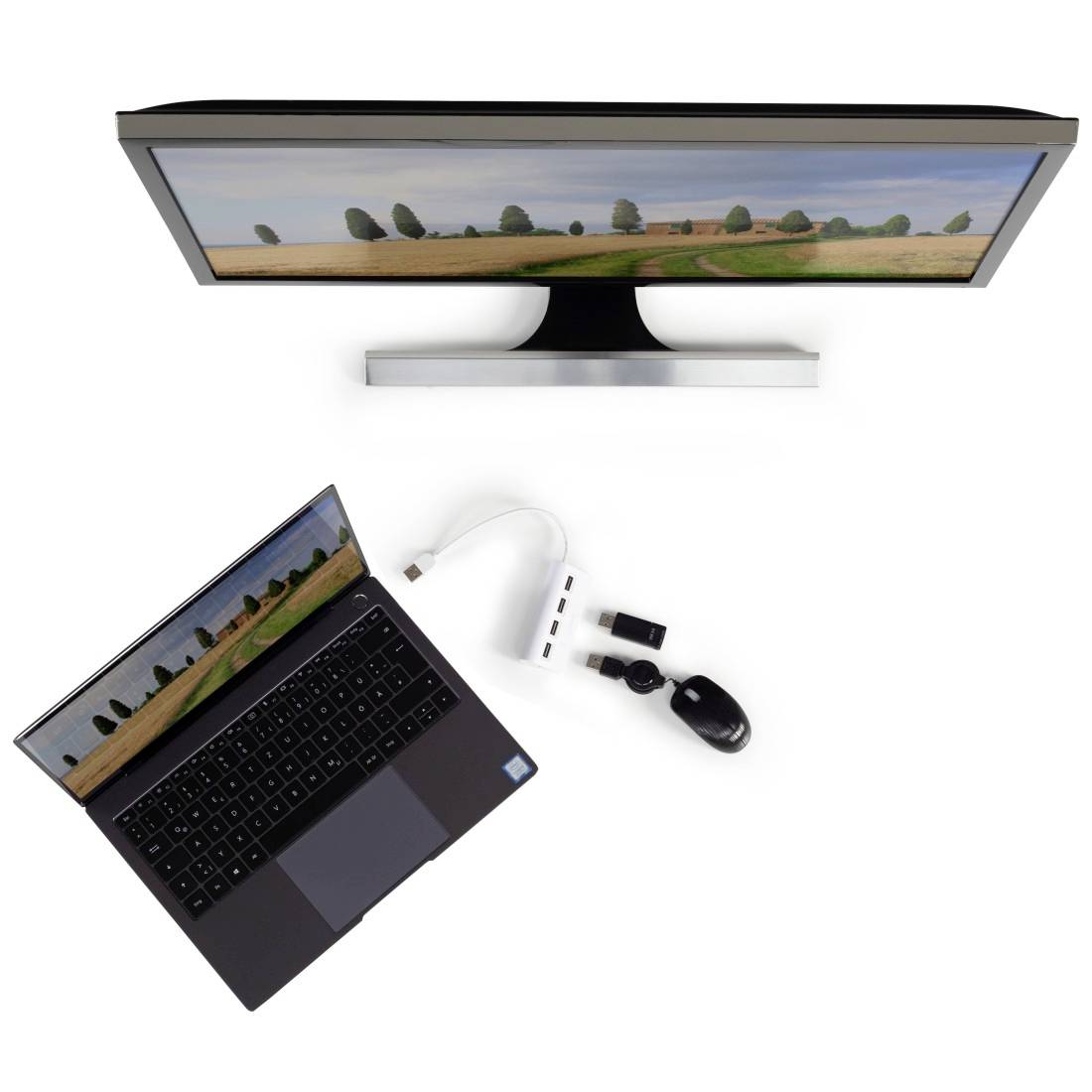 Ein geöffnetes Laptop neben einem großen Monitor, verbunden durch einen USB-Hub. Beide Bildschirme zeigen eine Landschaft mit Bäumen.