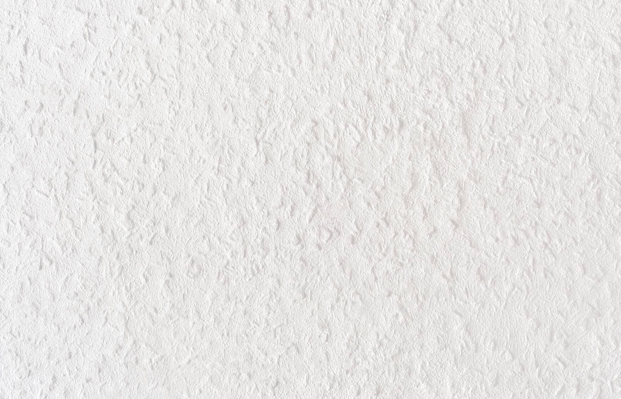 Fischer GOW Spachtelmasse 559054 70ml