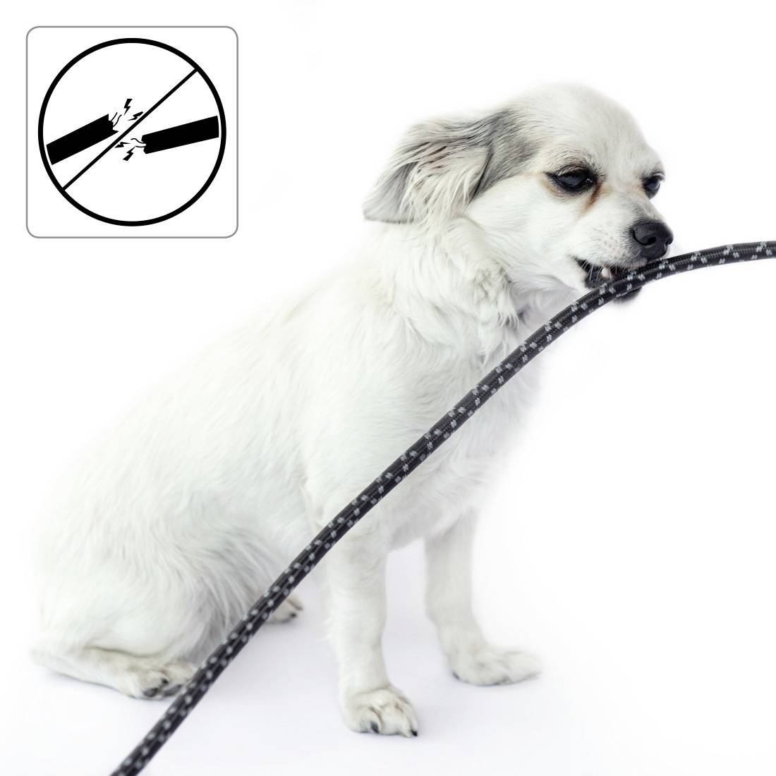 Ein Hund beißt in ein Kabel. Ein Symbol zeigt, dass beißende Hunde gefährlich sind.