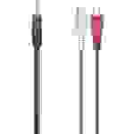 Hama 00205185 Cinch / Klinke Audio Adapter [1x Klinkenstecker 3.5 mm - 2x Cinch-Kupplung] Schwarz