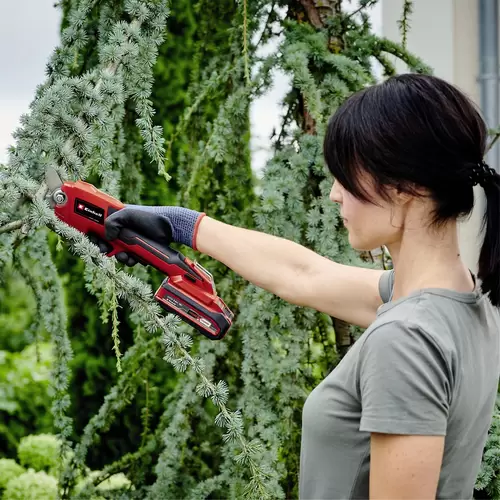 Einhell Set bestehend aus Akku-Astschere GE-LS 18 Li - Solo und Power X-Change Start-Kit 18 Einhell Set bestehend aus Akku-Astschere GE-LS 18 Li - Solo und Power X-Change Start-Kit 18