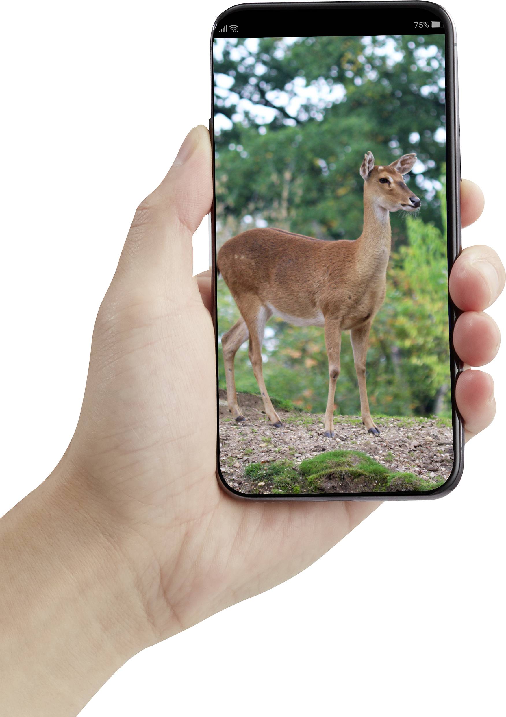 HUNTSOLR100 Wildkamera Auflösung Pixel: 5 Megapixel WLAN, inkl. Solarladegerät mit Li-Ion-Akku Army Grün