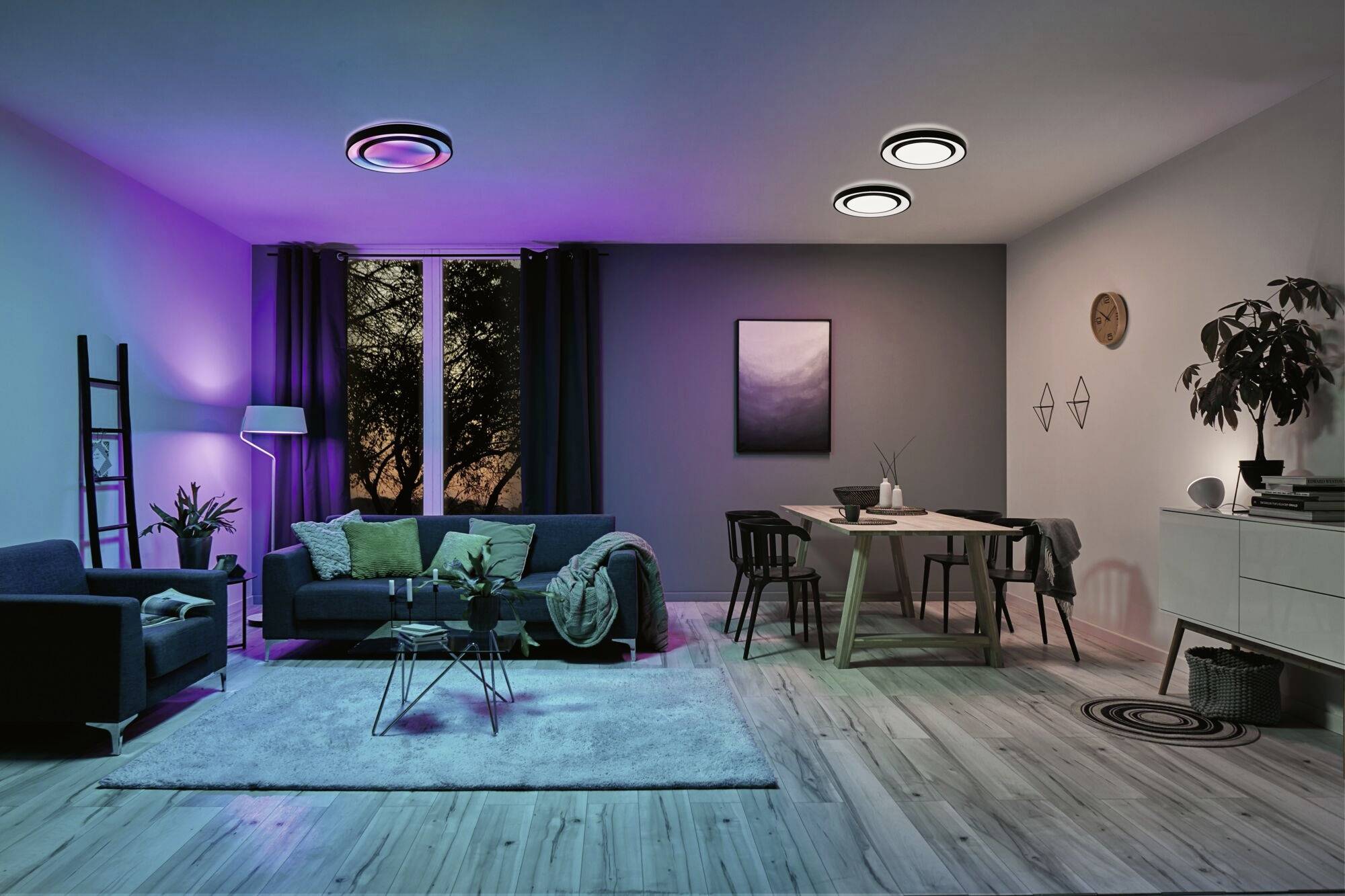 Paulmann 70545 LED-Deckenleuchte LED Schwarz, Weiß