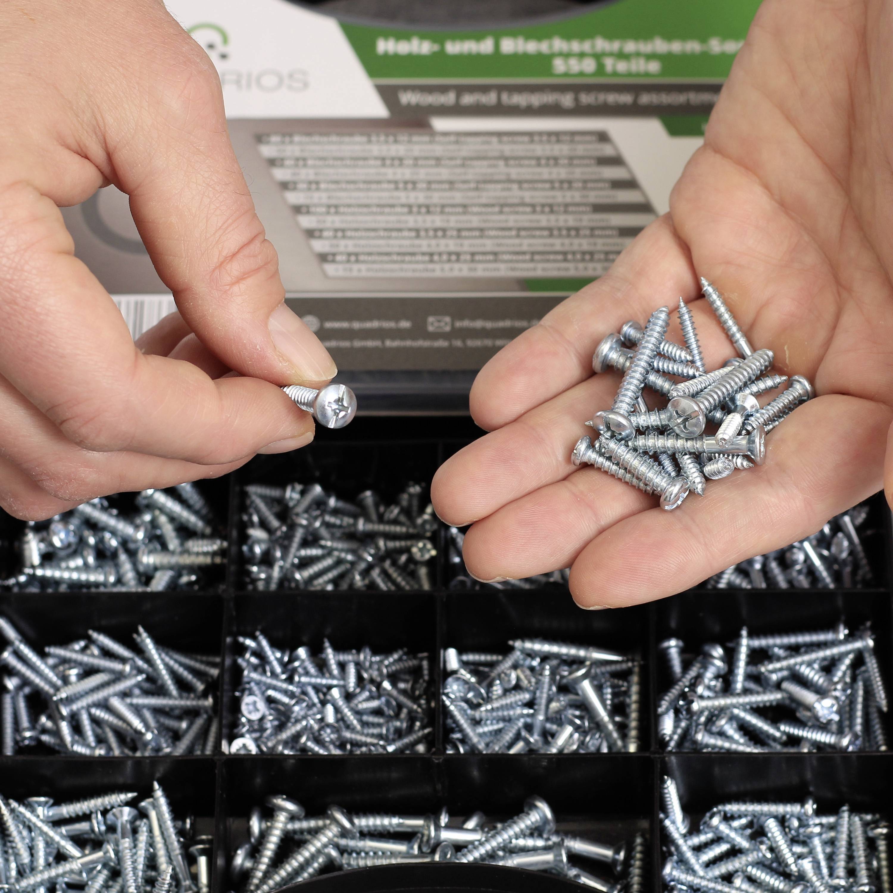 Quadrios 2109SA047 2109SA047 Blechschrauben-Sortiment 550St.