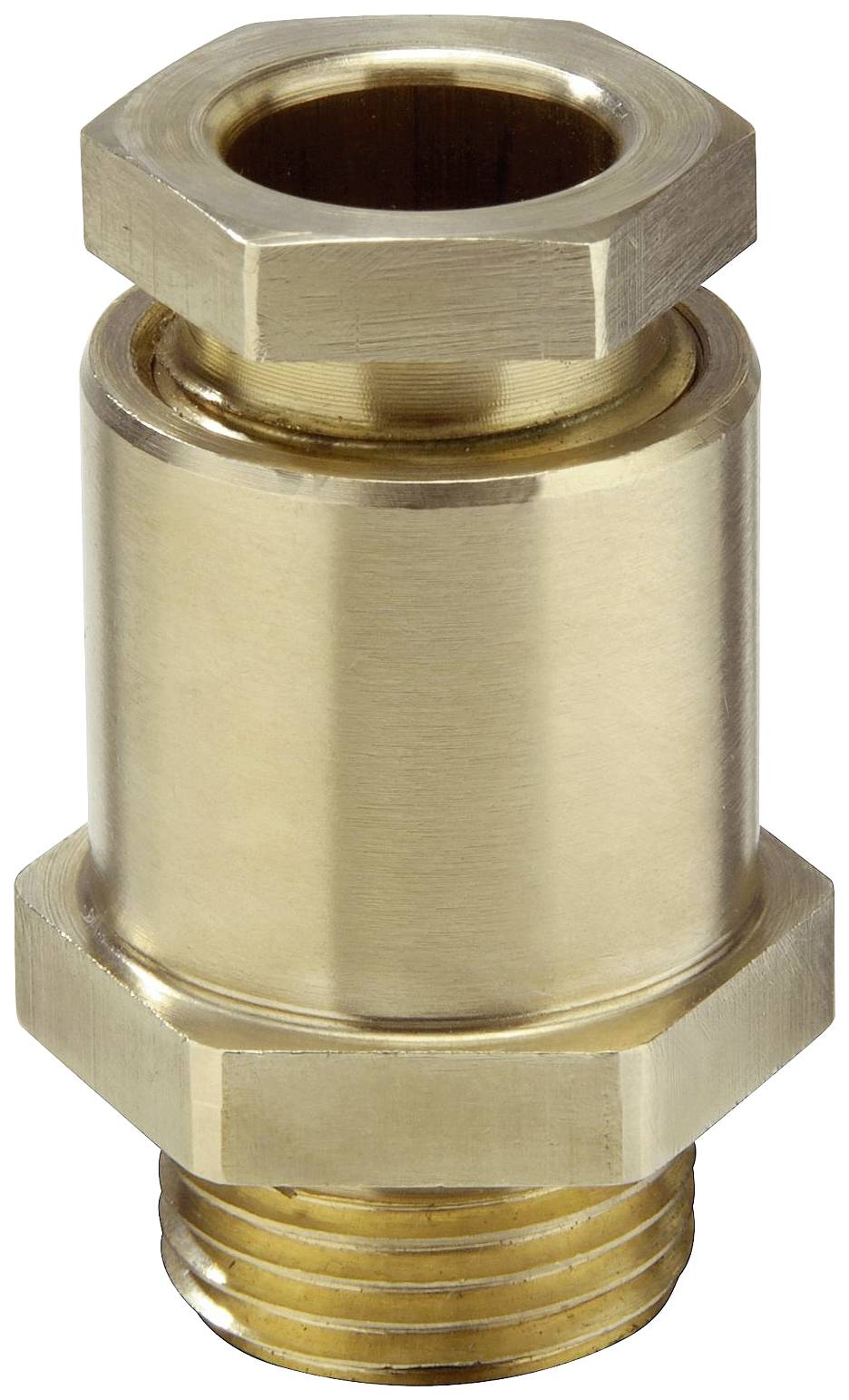 Messingrückschlagventil mit Gewinde aus Metall, vertikal ausgerichtet. Verhindert Rückfluss in Rohrleitungen.