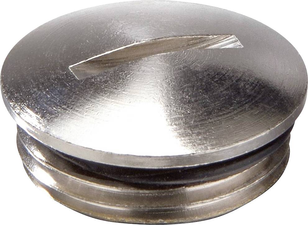 Eine glänzende Metall-Befestigungsschraube mit Schlitz, gezeigt von oben in Nahaufnahme.