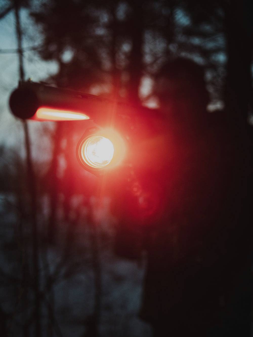 Eine Person leuchtet mit einer roten Taschenlampe in einen dunklen Wald. Hintergrund unscharf, Taschenlampe im Fokus.