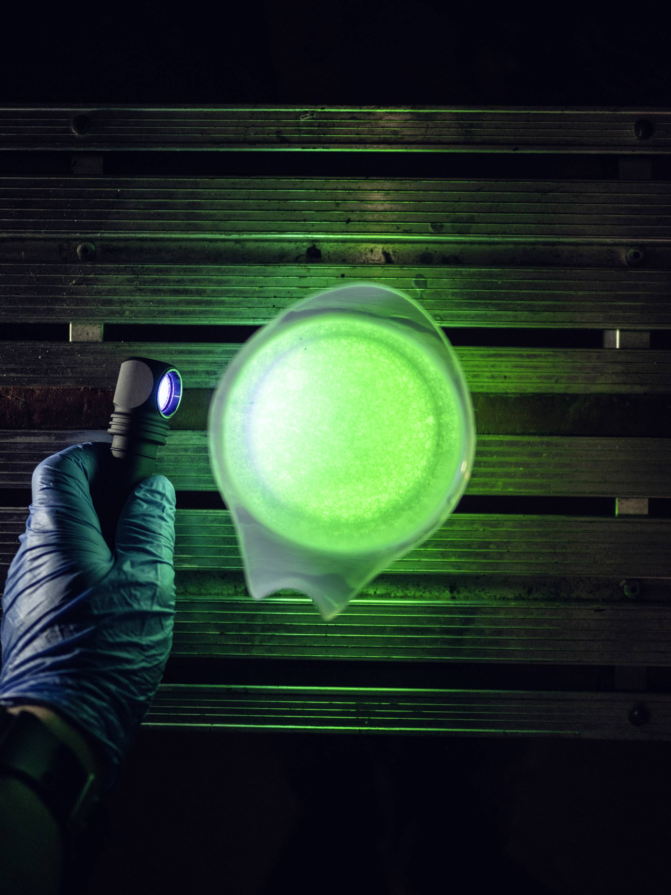 ArmyTek Wizard C2 WUV White & Ultraviolet LED Stirnlampe mit Magnethalterung akkubetrieben 1100lm 3h 65g