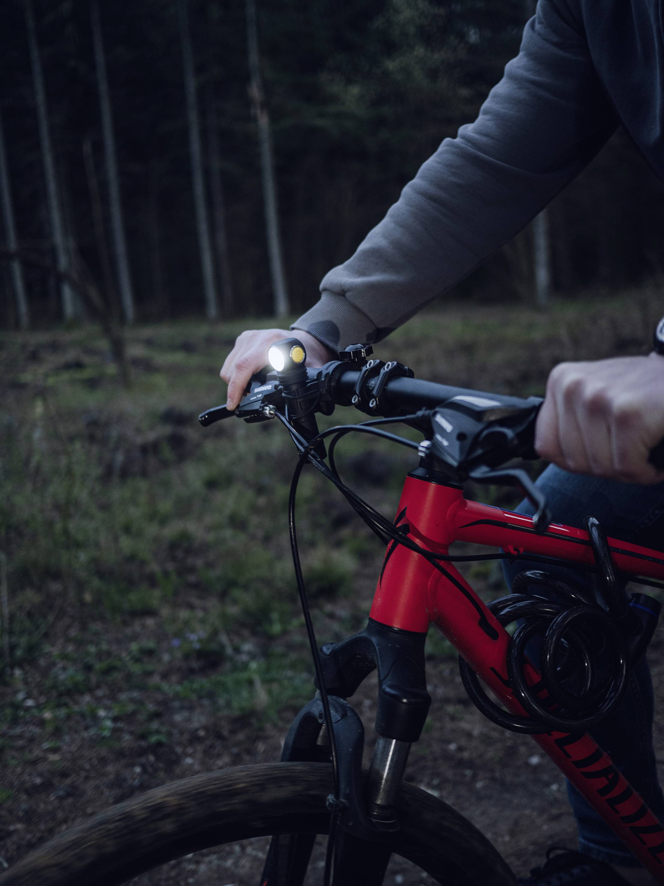 Person fährt bei Dämmerung ein rotes Mountainbike auf einem Waldweg, mit eingeschaltetem Scheinwerfer.