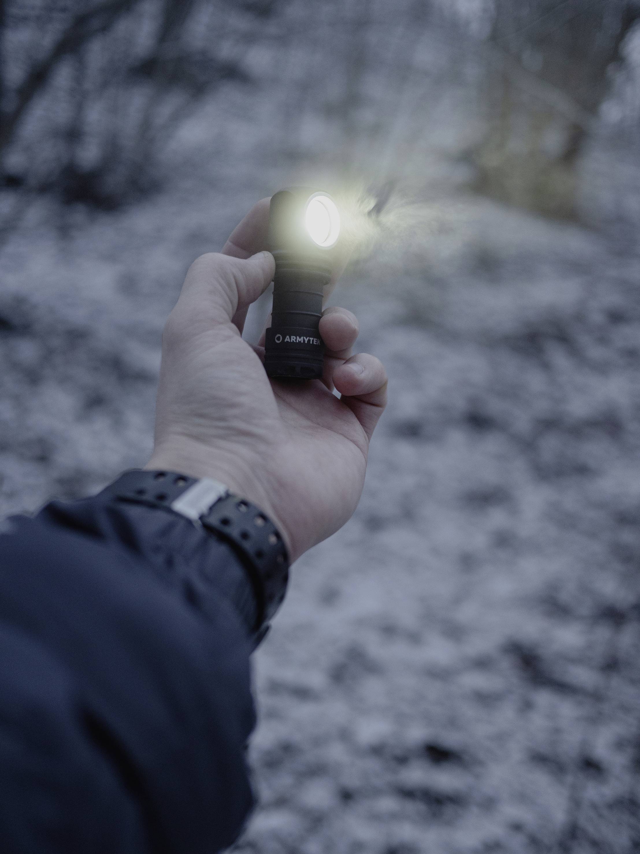 Eine Hand hält eine leuchtende Taschenlampe in einem winterlichen Wald, woraufhin der umgebende Schnee leicht erhellt wird.