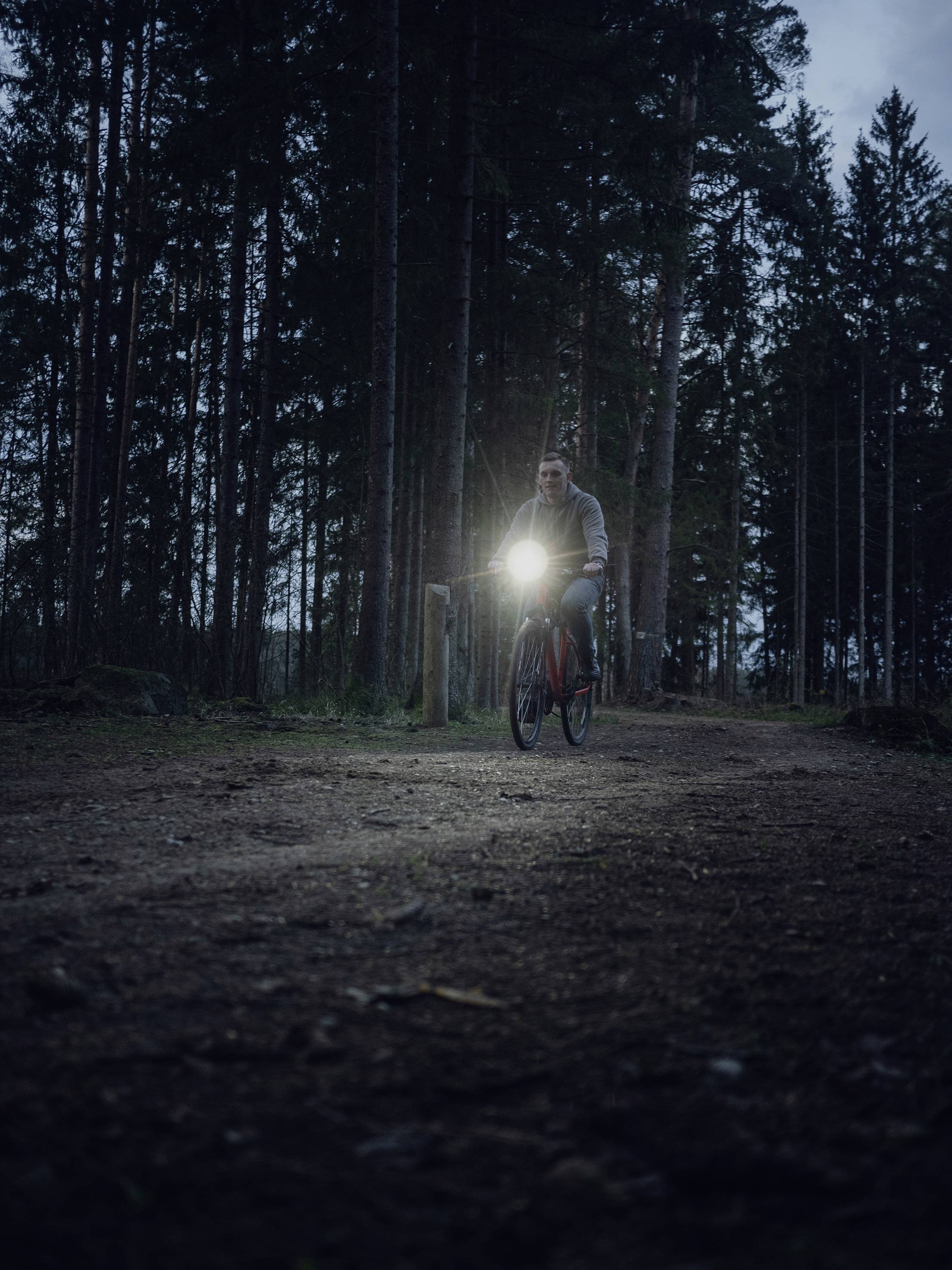 Eine Person fährt bei Dämmerung mit einem Fahrrad auf einem Waldweg. Der Scheinwerfer des Fahrrads leuchtet den Weg aus.