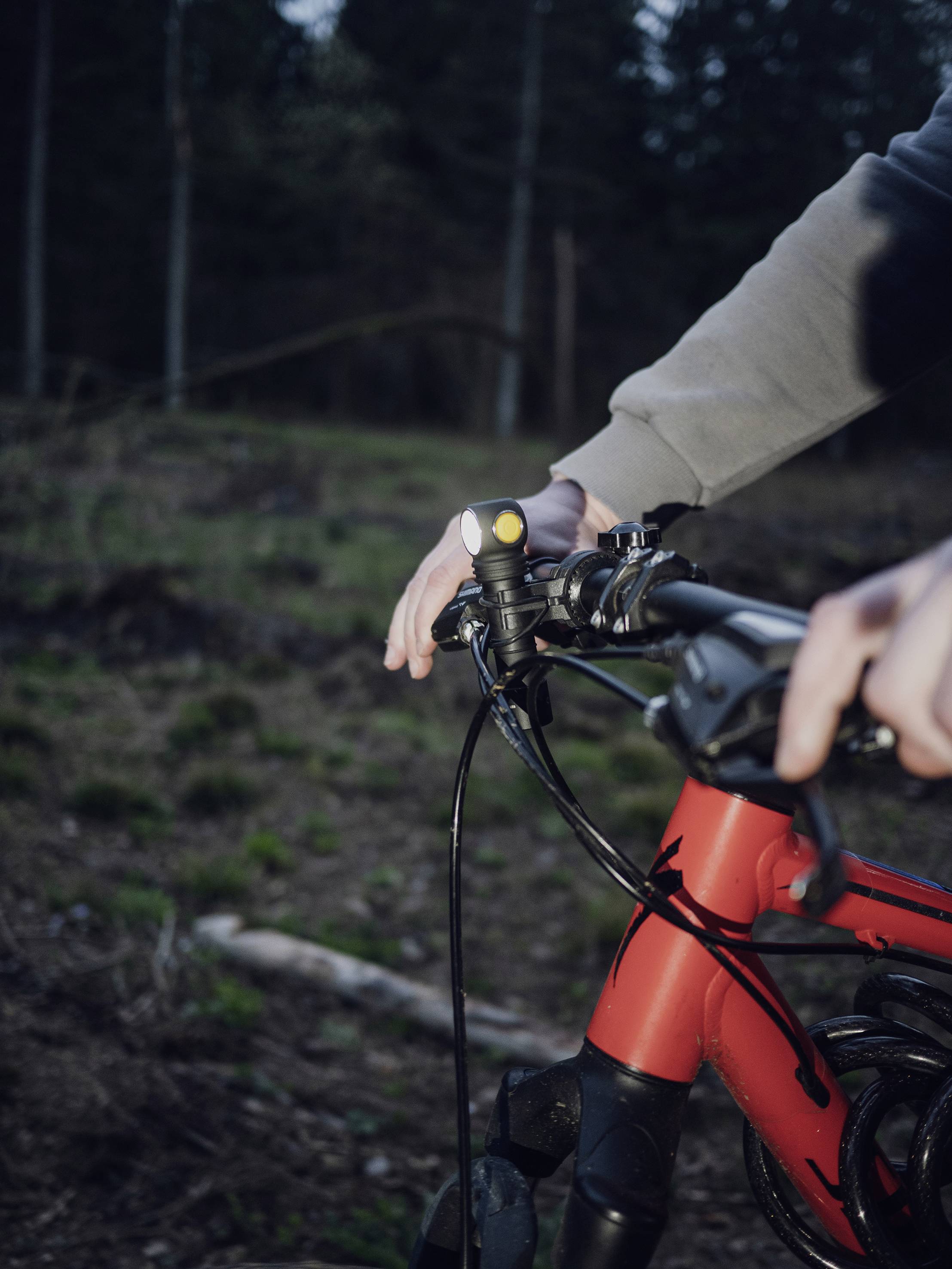 Eine Person hält ein rotes Fahrrad im Wald. Der Fokus liegt auf der Hand am Lenker und einem kleinen Licht. Im Hintergrund sind Bäume zu sehen.