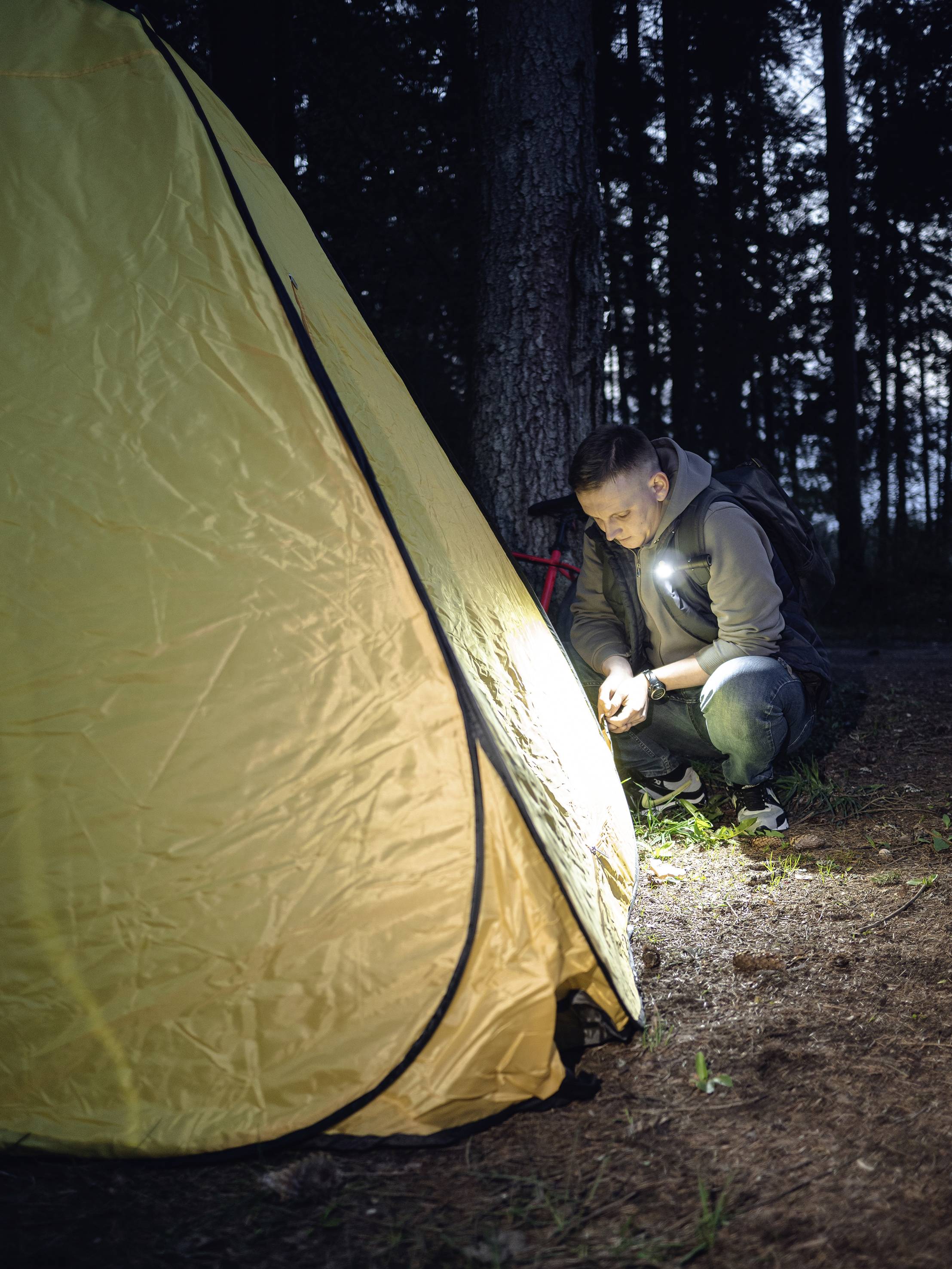 Eine Person kniet neben einem gelben Zelt im Wald und überprüft etwas am Boden mit einer Taschenlampe im Dunkeln.