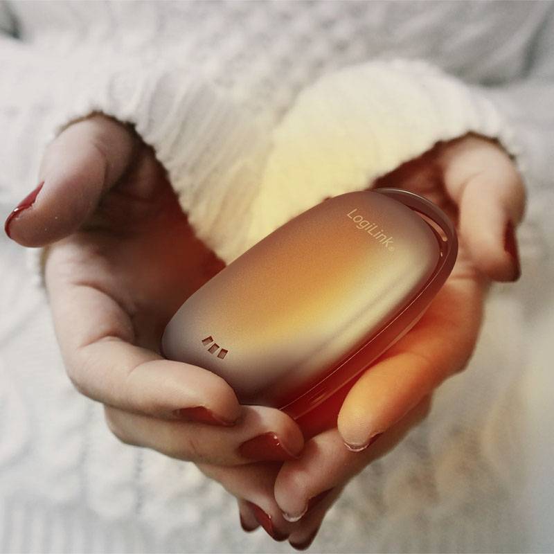 LogiLink PA0264 Powerbank 4000 mAh Fast Charge LiPo USB-A, Micro USB Metallic Grau (matt)