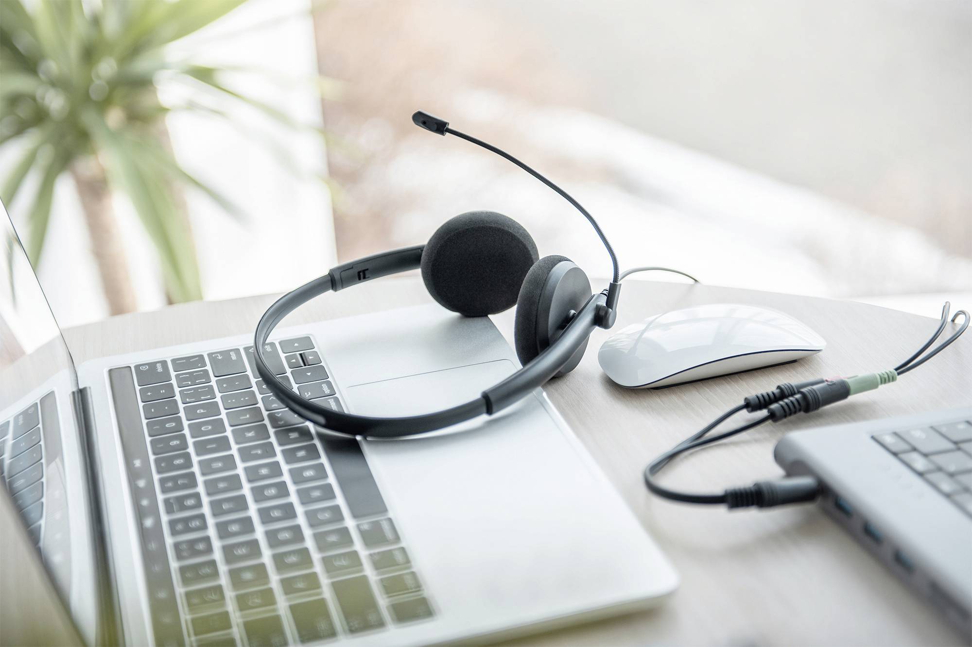 DIGITUS - On Ear Office Headset mit Geräuschreduzierung, 3,5 mm Stereo