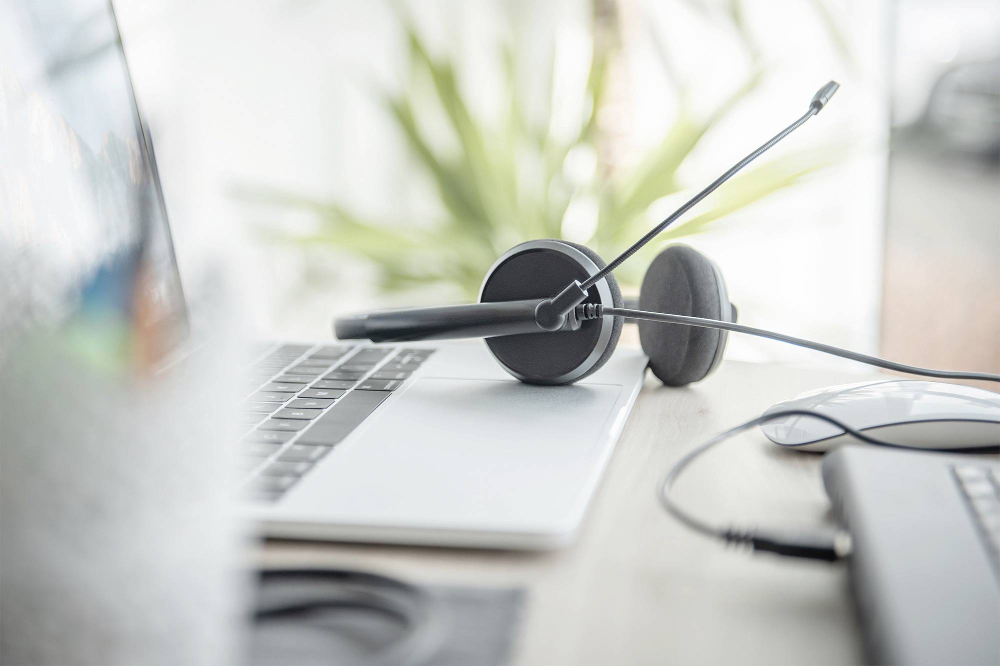 Digitus DA-12203 Computer On Ear Headset kabelgebunden Stereo Schwarz Mikrofon-Rauschunterdrückung, Noise Cancelling Lautstärkeregelung, Mikrofon-S