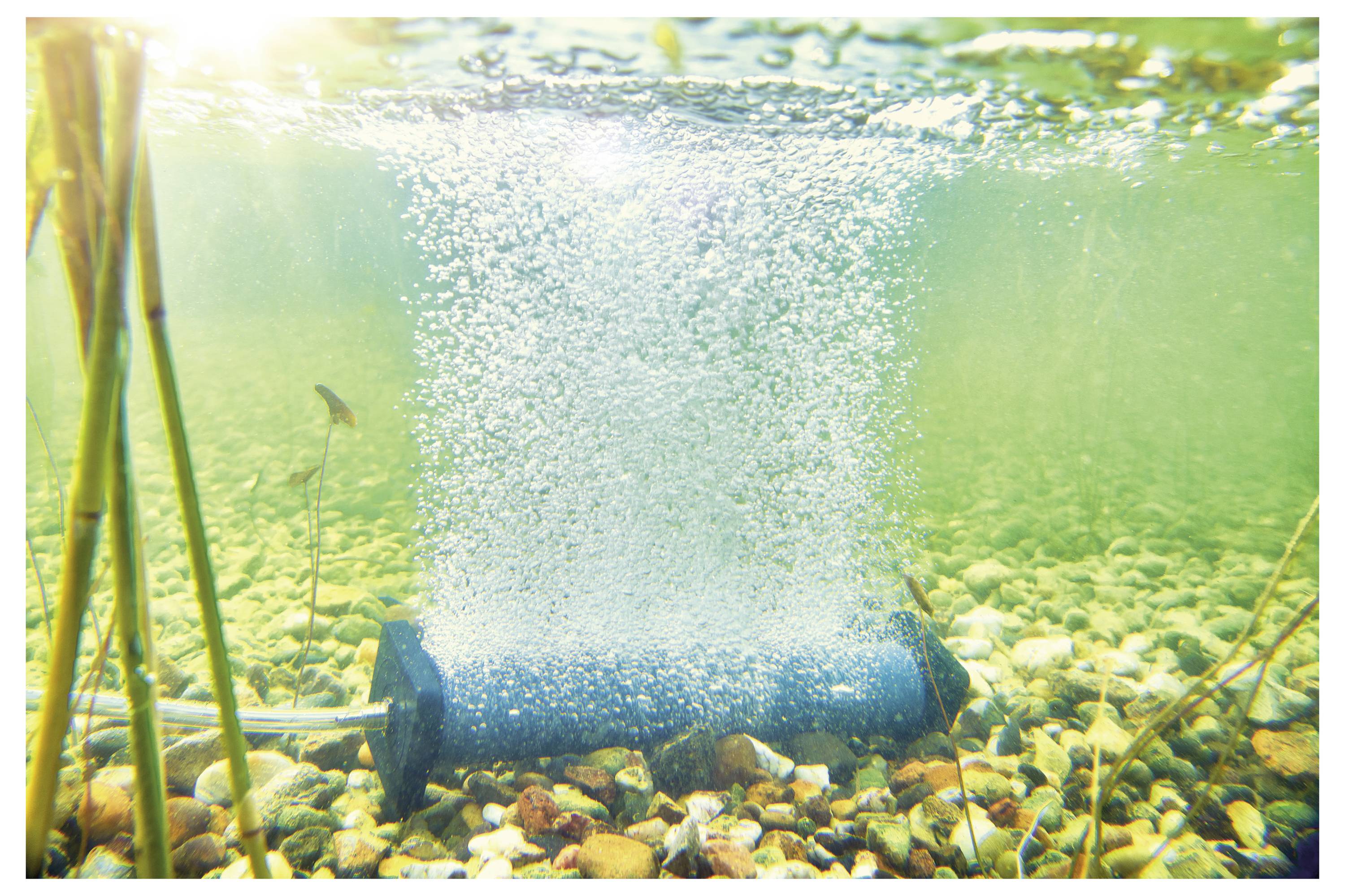 Unterwasser-Luftdiffusor, der Blasen zwischen Felsen und Pflanzen freisetzt. Helles, grünliches Wasser, durch das Sonnenlicht hindurchfiltert.