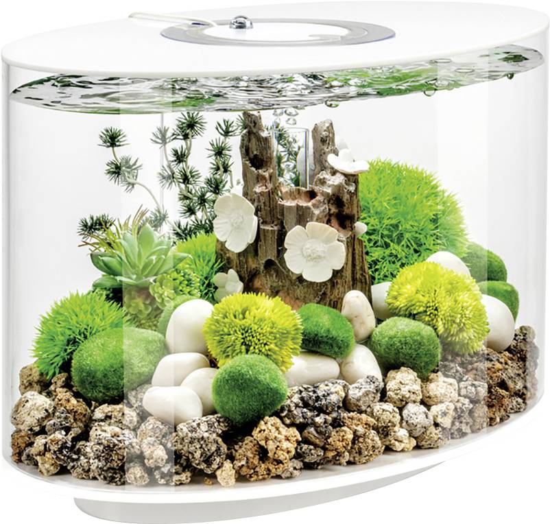 OASE biOrb 86414 biOrb LOOP 15 LED weiß Aquarium EEK: G (A - G) 15l mit LED-Beleuchtung