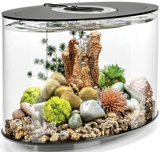 OASE biOrb 86425 biOrb LOOP 15 LED schwarz Aquarium EEK: G (A - G) 15l mit LED-Beleuchtung