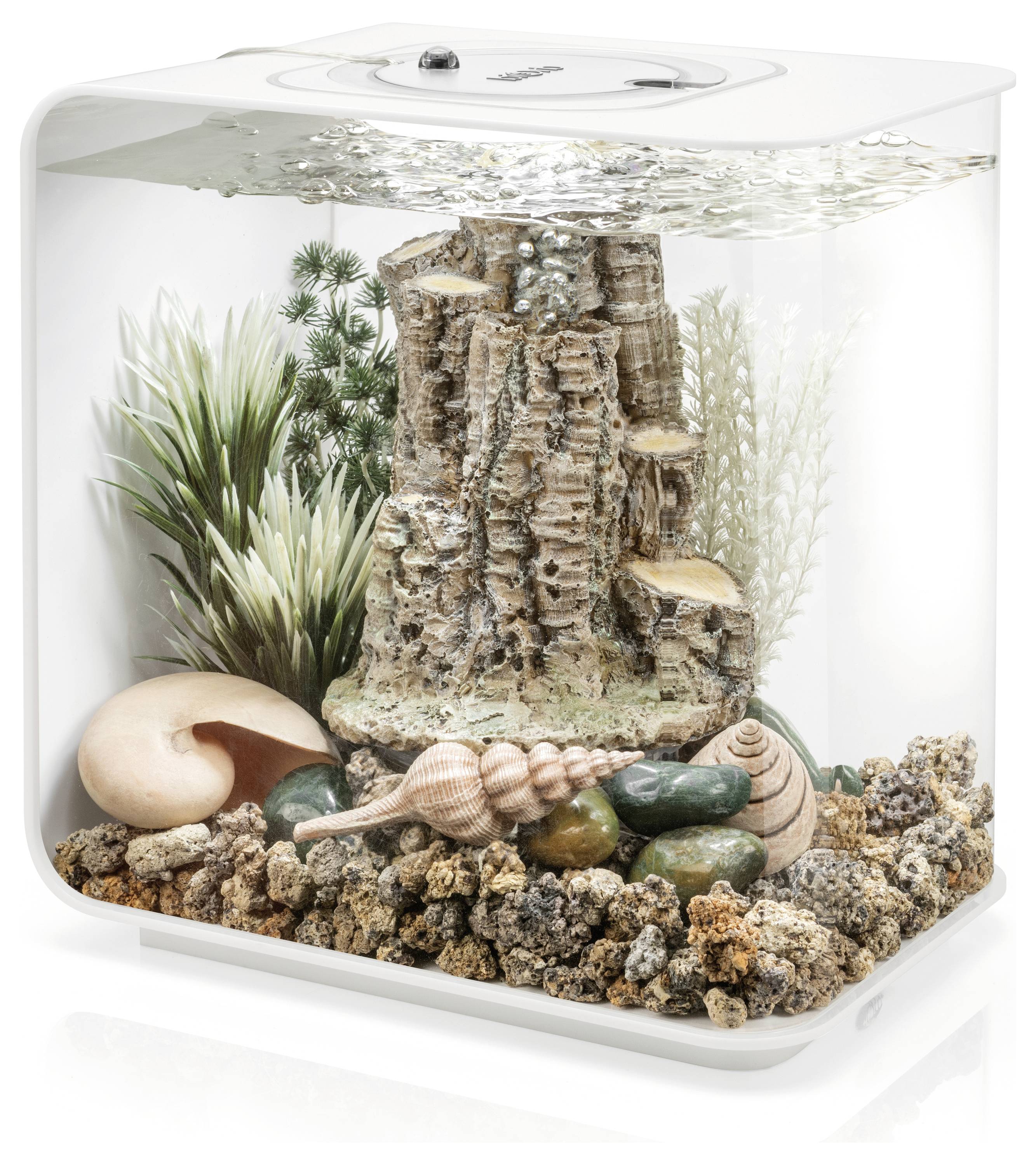 Ein kleines, dekoratives Aquarium mit einer zentralen künstlichen Felsformation, umgeben von Pflanzen, Muscheln und Kieseln, das einen natürlichen Lebensraum nachbildet.