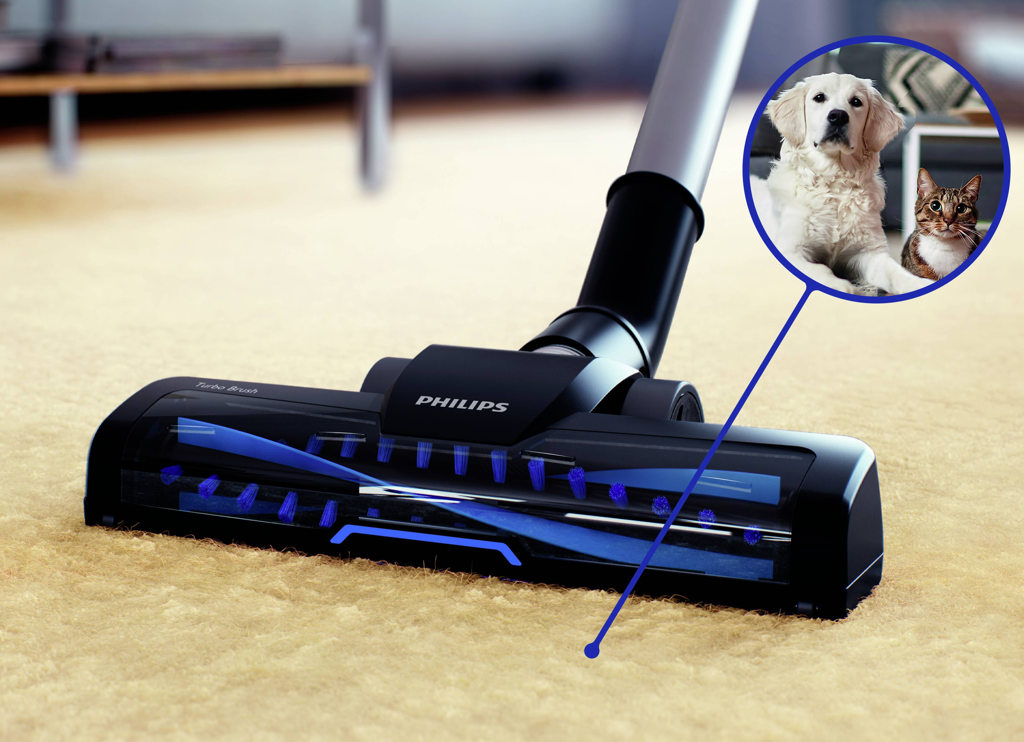 Staubsaugerkopf auf Teppich mit Vergrößerung von Hund und Katze im Kreis, die zeigen, dass das Gerät für Tierhaare geeignet ist.