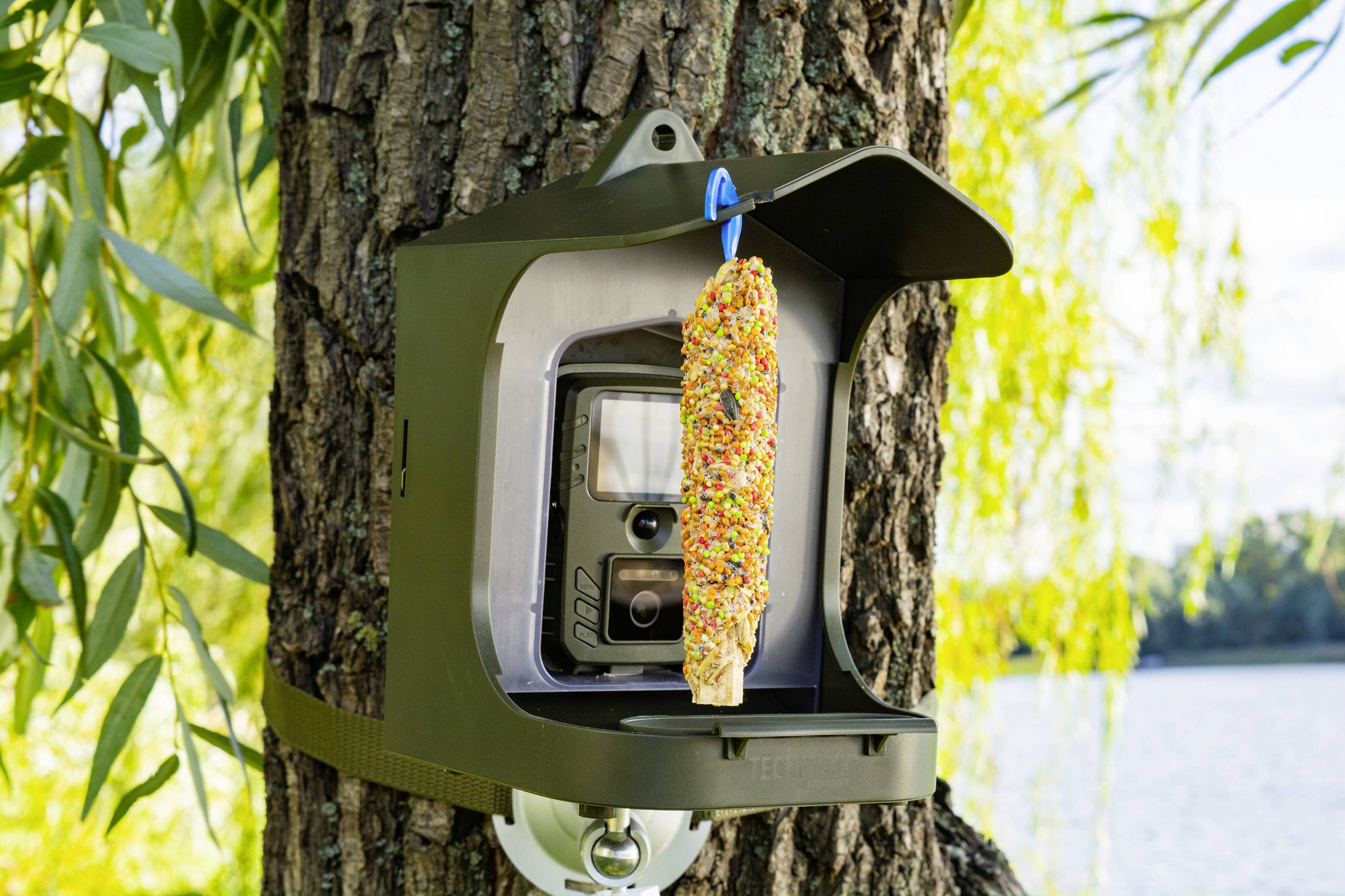 Technaxx TX-165 Wildkamera Tonaufzeichnung, Black LEDs, inkl. Klemmhalterung Grün