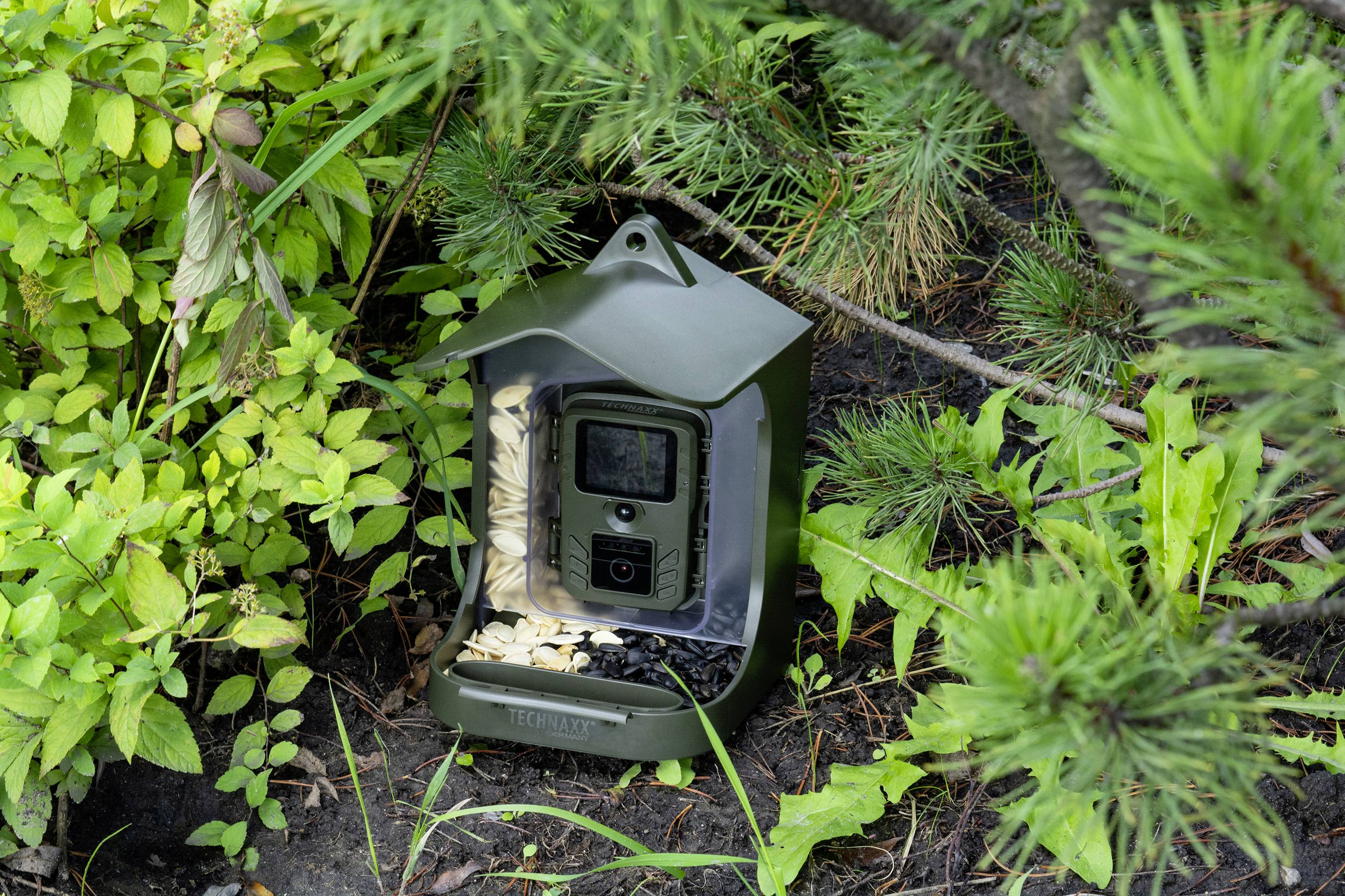 Technaxx TX-165 Wildkamera Tonaufzeichnung, Black LEDs, inkl. Klemmhalterung Grün