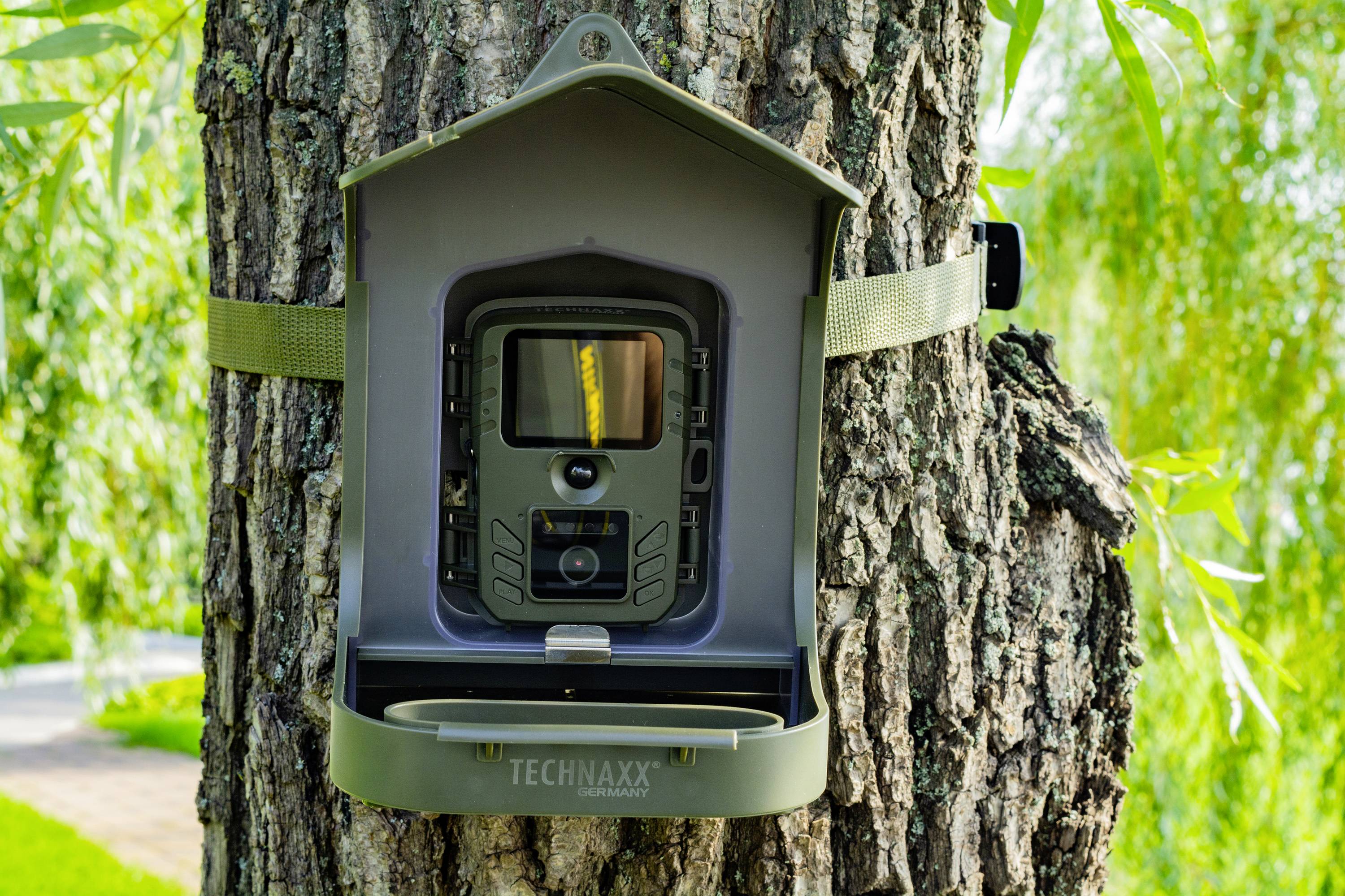 Technaxx TX-165 Wildkamera Tonaufzeichnung, Black LEDs, inkl. Klemmhalterung Grün