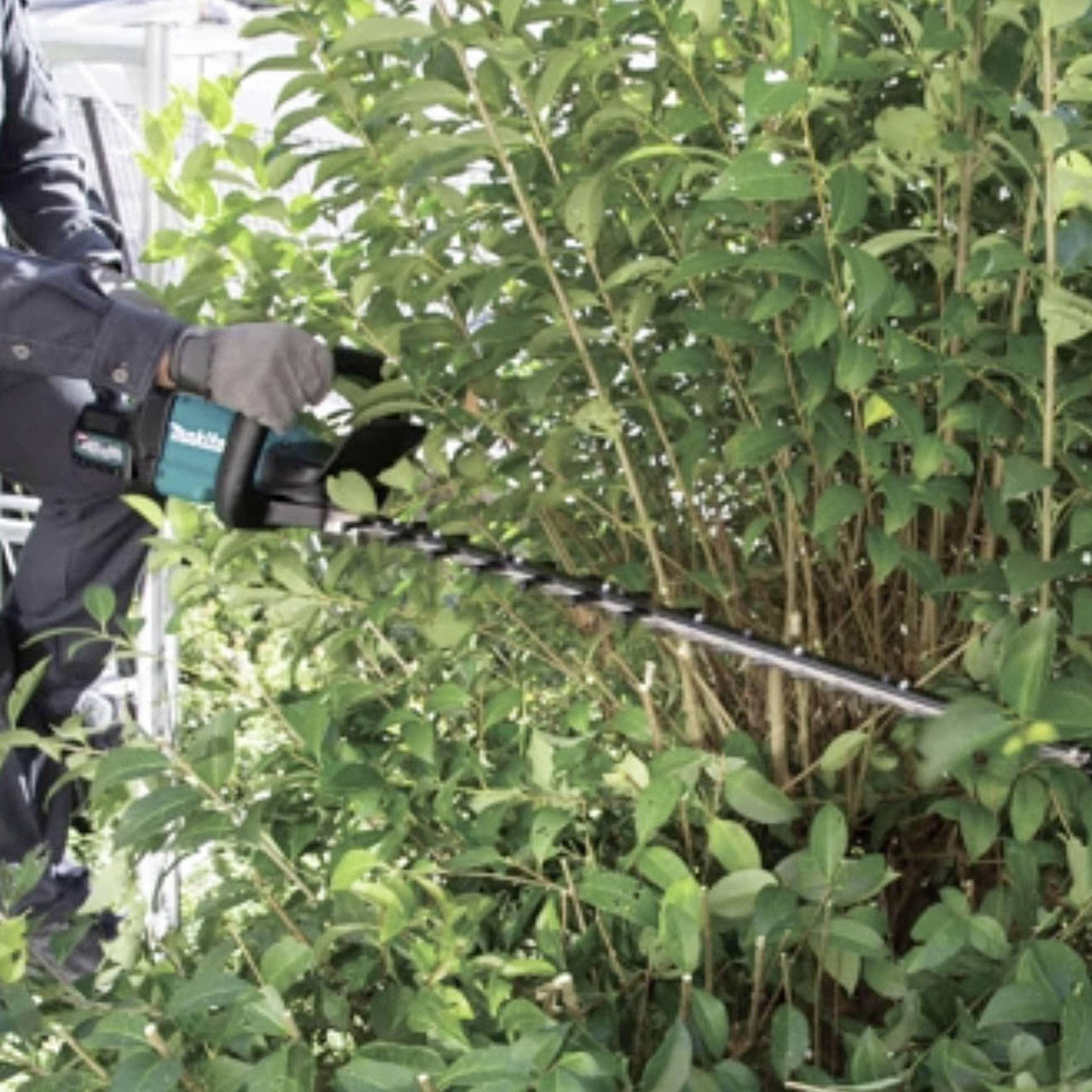 Makita UH004GZ Akku Heckenschere 40 V Li-Ion 600 mm