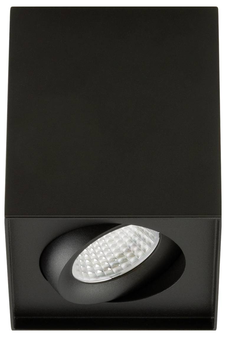 Schwarzer rechteckiger Deckenspot mit einer eingelassenen ovalen LED-Leuchte nach unten geneigt