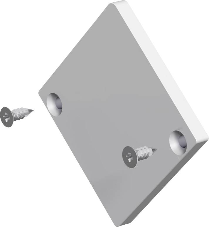 Illustration einer rechteckigen Montageplatte mit zwei Senklöchern und zwei daneben abgebildeten Schrauben, die Montage oder Befestigung anzeigen