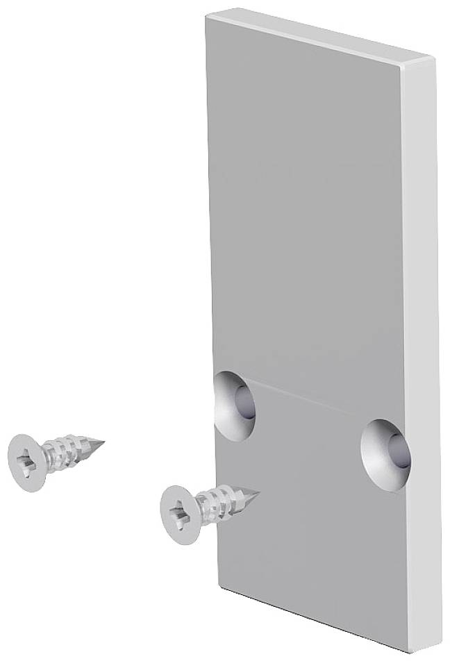 Metallplatte mit zwei Senklöchern und zwei separat liegenden Schrauben auf weißem Hintergrund.