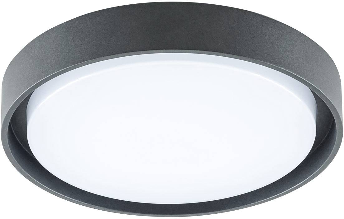 Runde, moderne Deckenlampe mit schwarzem Rahmen und weißer Leuchtfläche, geeignet für die Innenbeleuchtung in Wohn- oder Arbeitsräumen.