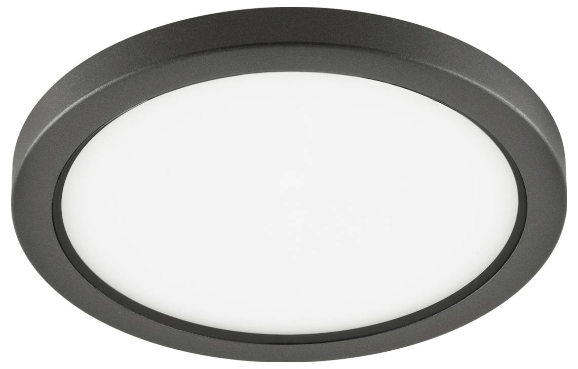 Rundes schwarzes LED-Deckenleuchte mit weißem Diffusorpanel zum Aufputz-Anbau.