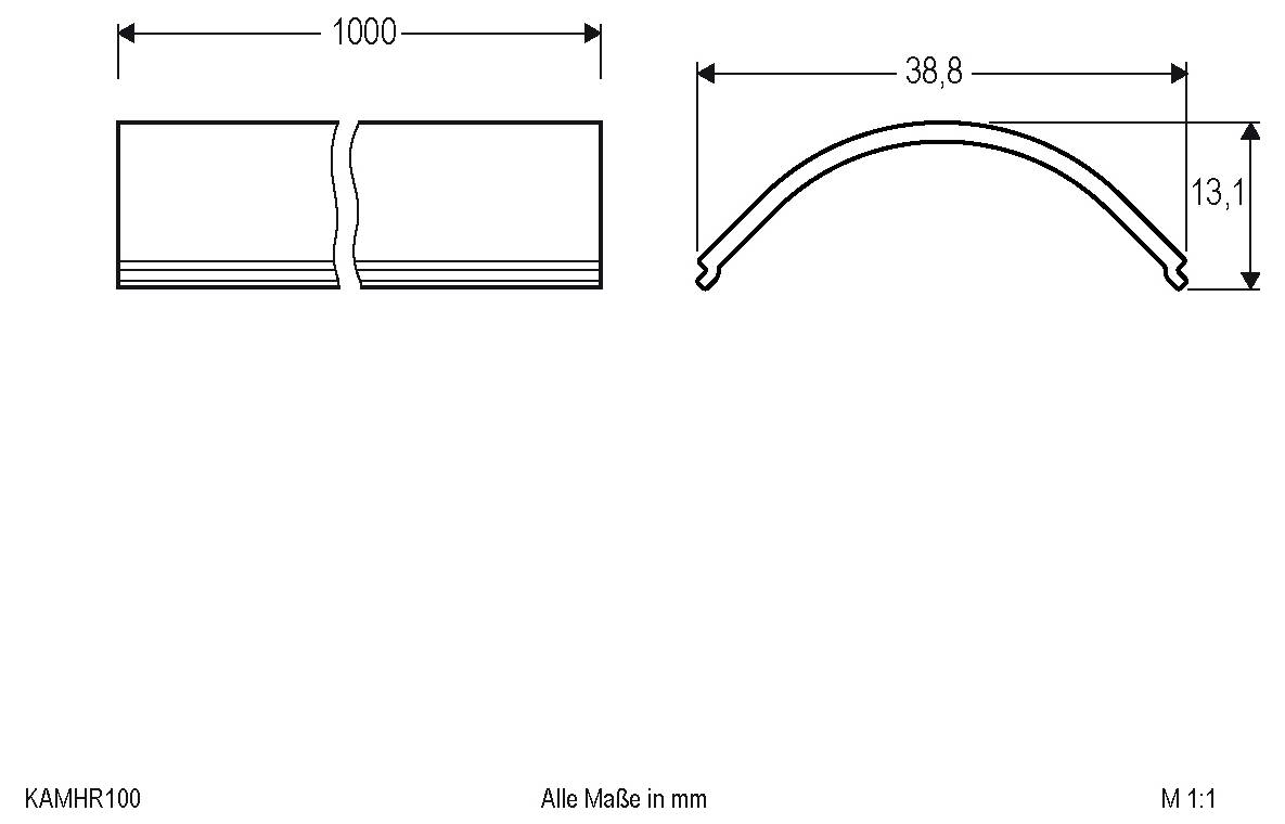 Technische Zeichnung eines gespaltenen rechteckigen Streifens und eines gekrümmten Profils, beschriftet mit Abmessungen 1000 mm, 38,8 mm und 13,1 mm; Maßstab 1:1.