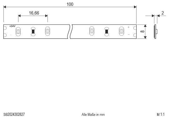 Technische Maßzeichnung eines 100 mm langen LED-Streifensegments, 8 mm breit und 2 mm dick, mit 16,66 mm Abstand und +24V-Polaritätsmarkierungen.
