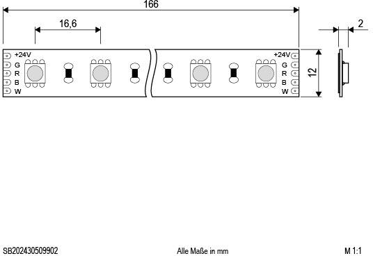 Zeichnung eines LED-Streifens mit den Maßen 166 mm Länge und 12 mm Breite. Anschlüsse für +24V, R, G, B, W sind angegeben.